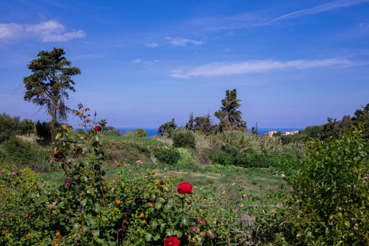The Olive House * Kondomarion
