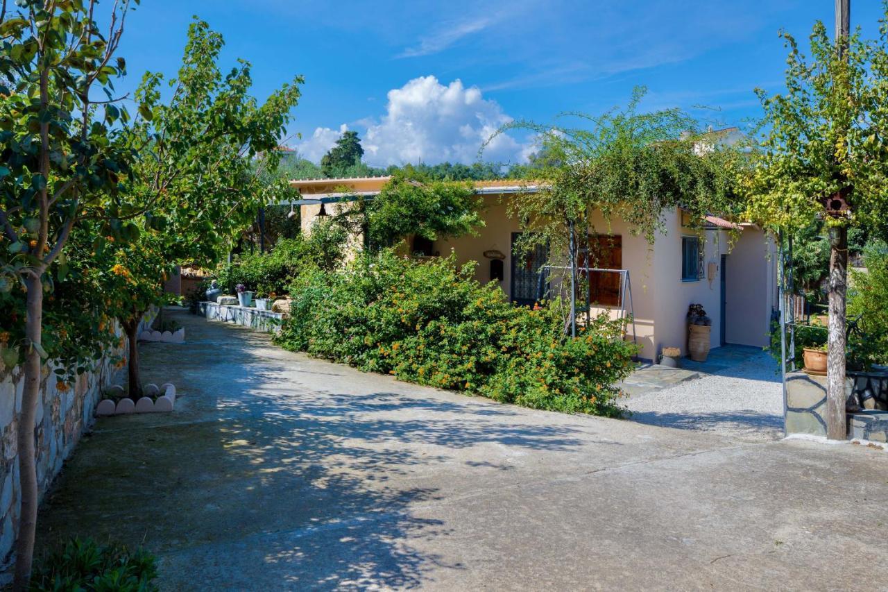 The Olive House